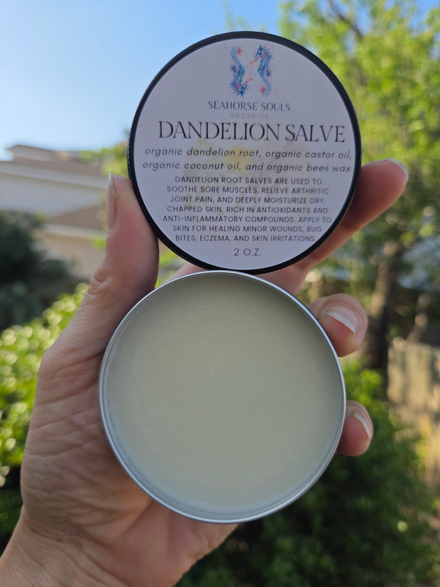 Dandelion Salve