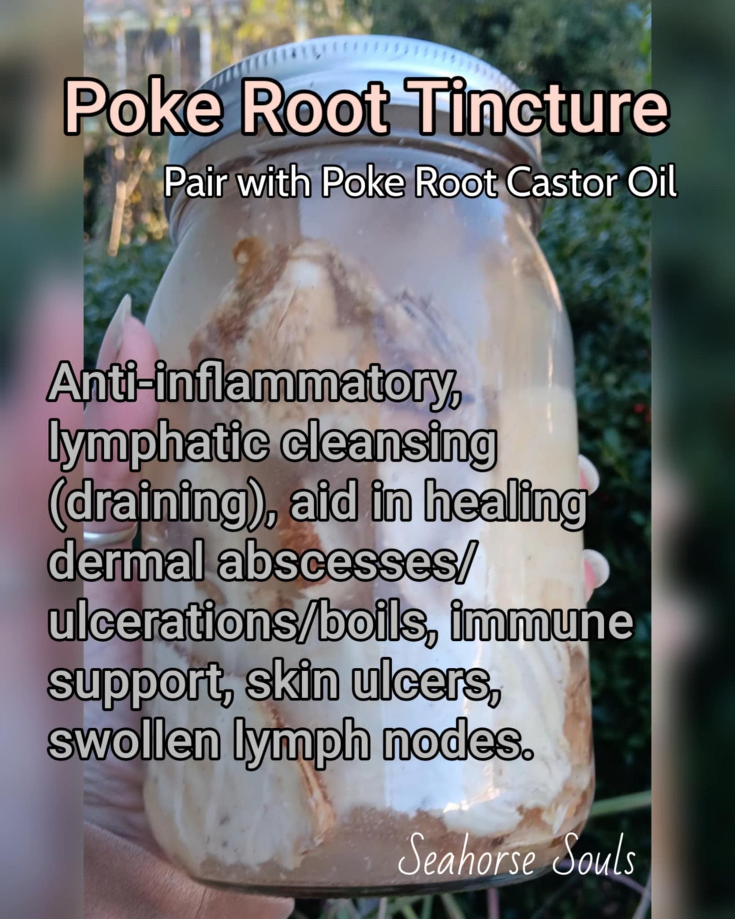 Poke Root Tincture SET