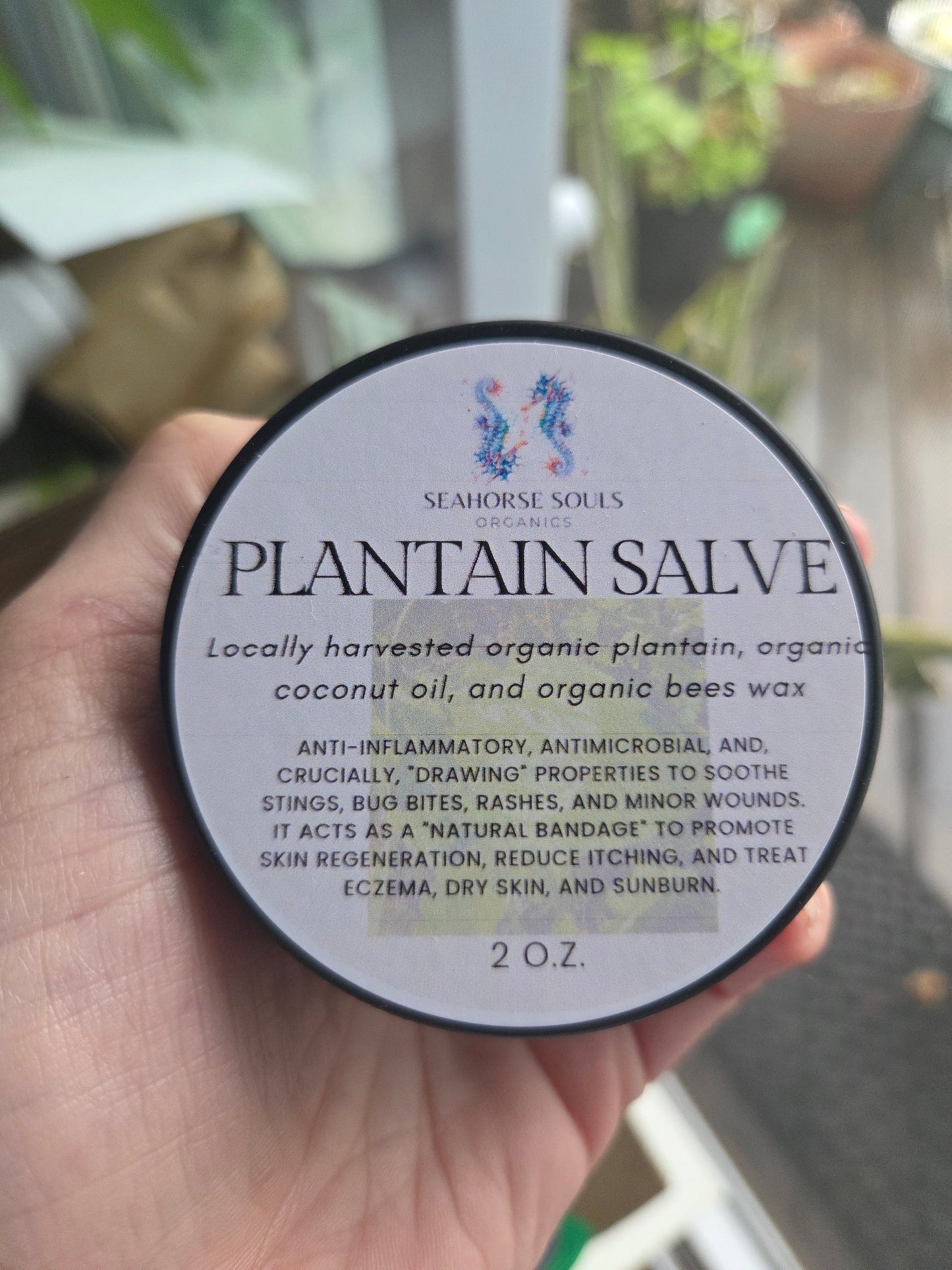 Plantaine Salve