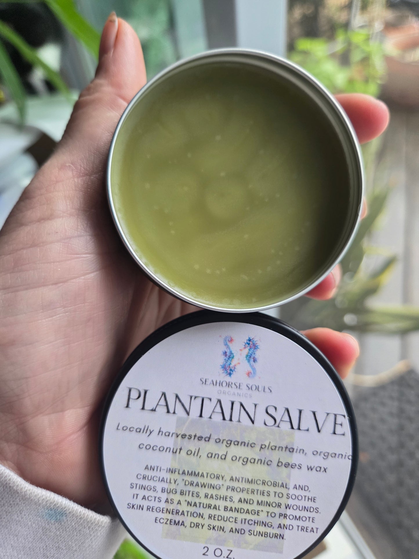 Plantaine Salve